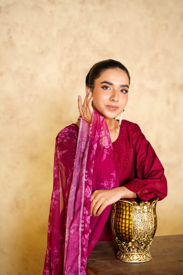 1167F- RED LINEN CHIKANKARI 3 PIECE SUIT