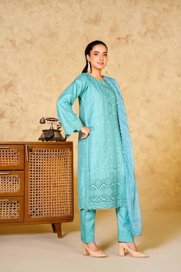 1167A - LIGHT BLUE LINEN CHIKANKARI 3 PIECE SUIT