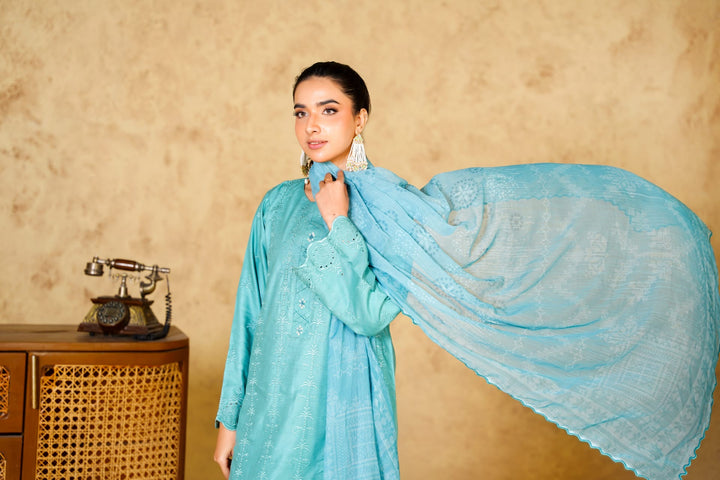 1167A - LIGHT BLUE LINEN CHIKANKARI 3 PIECE SUIT