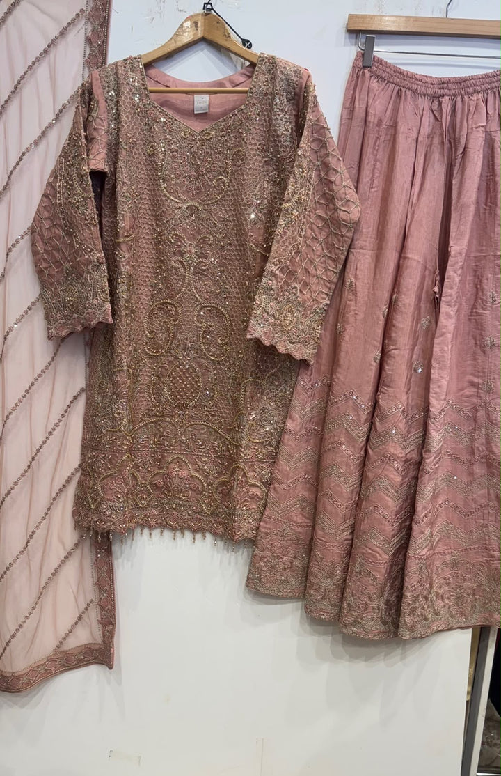 346B- Pink Embroidered Chiffon 3 Piece Suit