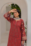EMBROIDERED PRINTED KHADDER 3 PIECE SUIT NK09