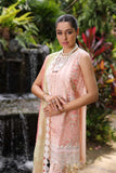 NOOR LUXURY CHIKANKARI LAWN'24 D7-B Peach multi