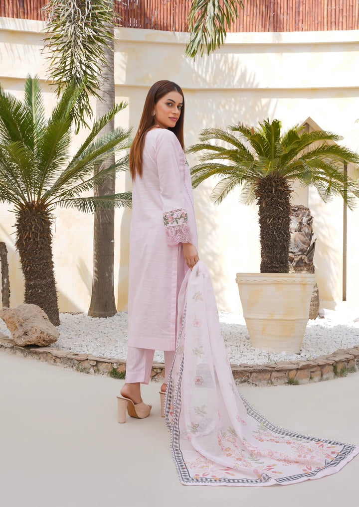 67A - Attire designer Embroidered Cotton 3 piece suit