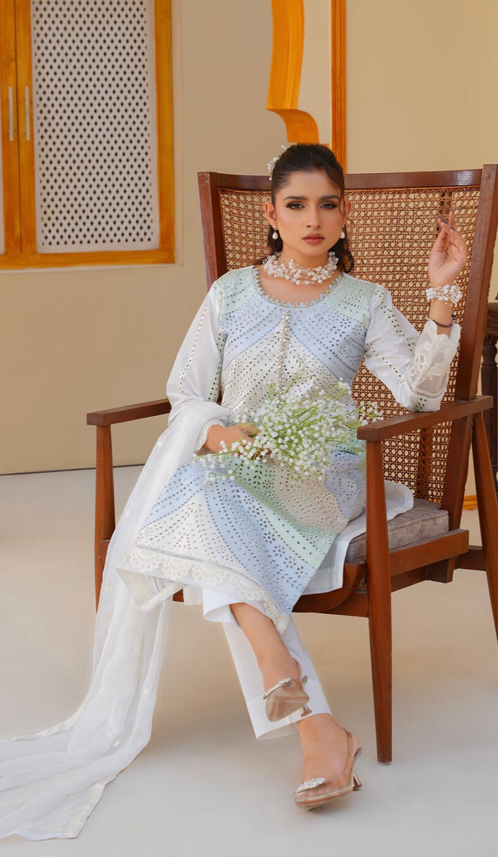 AR03 - Attire Light Green Embroidered Chikankari Cotton 3 Piece suit