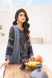 EMBROIDERED CHIFFON 3 PIECE SUIT ADA WORK NM1220